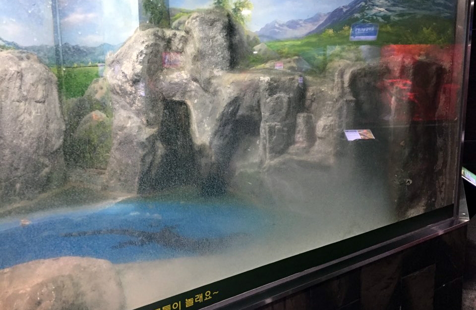 부산해양자연자박물관 파충류관 유리창 