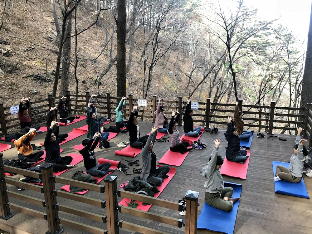 국립대관령치유의숲서 관광객들이 산림치유프로그램을 체험하는 모습