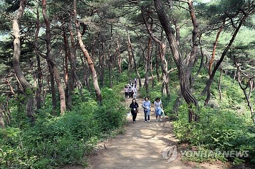 마곡사 백범 명상길