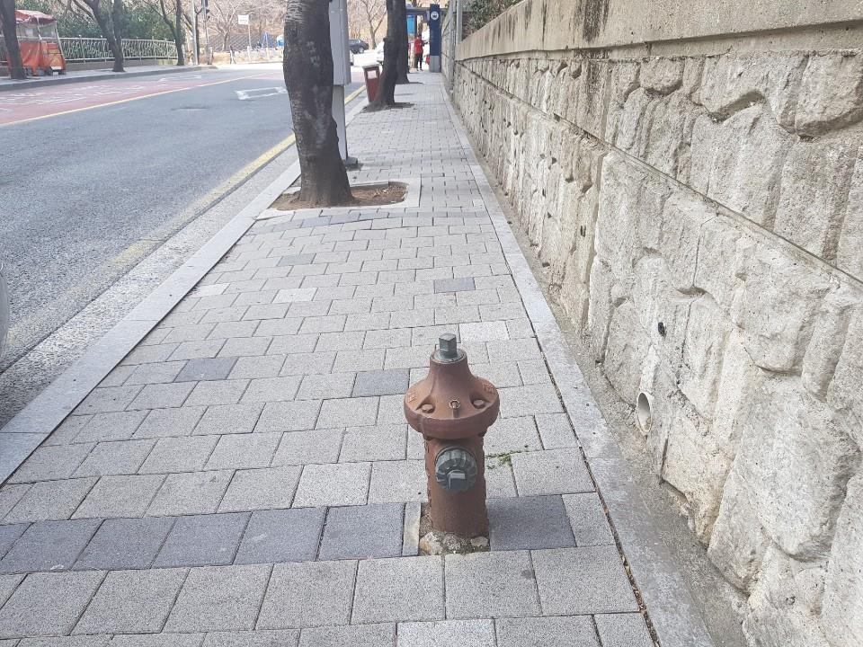도로 시설물 불쑥