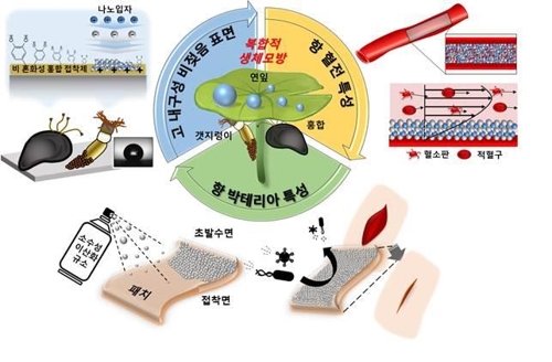 초발수 표면 개념도