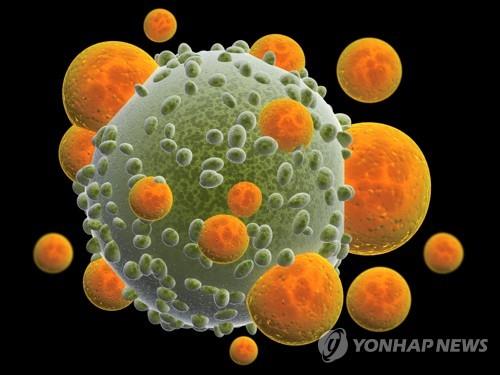 T세포 공격 받는 암세포