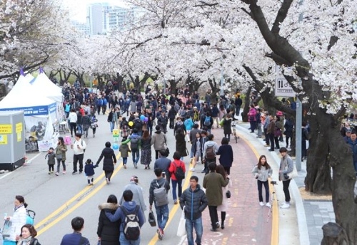 여의도 봄꽃축제