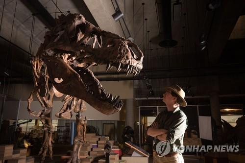 세계에서 가장 큰 티라노사우루스 화석 '스코티'