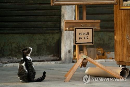 뱅크시의 노점상을 바라보는 고양이