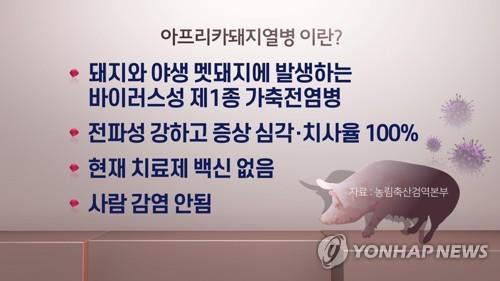 '아프리카돼지열병 걱정인데'…버젓이 밀수 축산물 유통 - 2