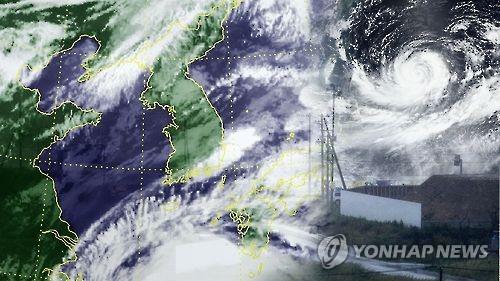 위성 영상