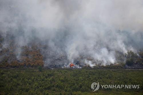 14일 촬영된 인니 칼리만탄의 산불 현장