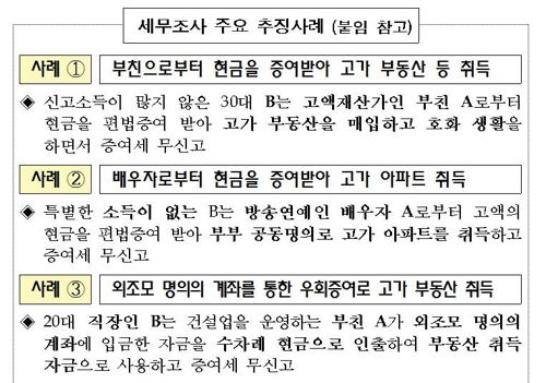고가 부동산 관련 세금 탈루 혐의 사례