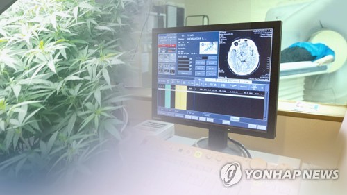 의료용 대마 합법화 추세 (CG)