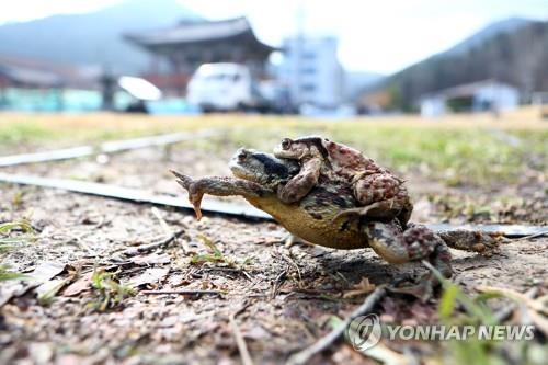 '봄인 줄…'