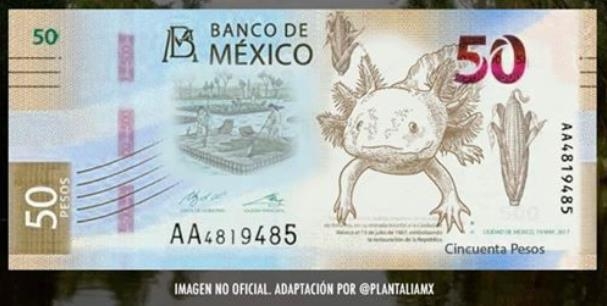 인터넷에서 돈 50페소 지폐 도안. 실제 지폐의 도안은 아니다.