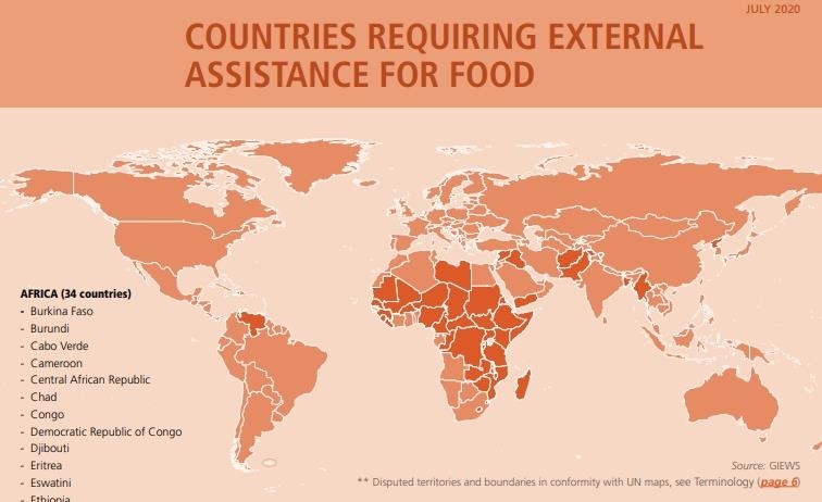 FAO가 선정한 외부 식량지원이 필요한 국가 인포그래픽