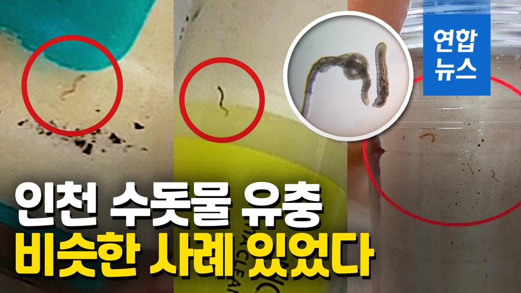 [영상] 인천 수돗물 유충은 깔다구류…전문가 "상당히 중대한 문제" - 2