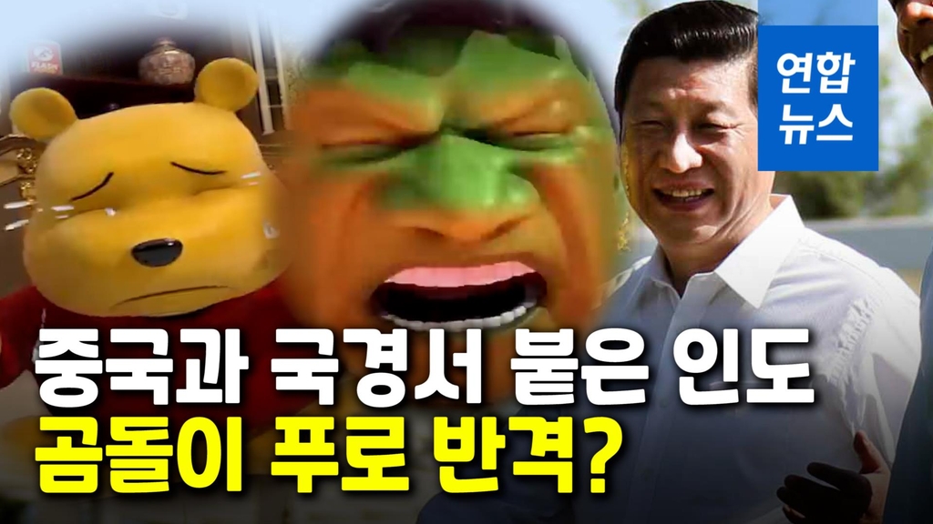 [영상] 헐크 되고 싶었는데? 인도 언론, 곰돌이 푸로 시진핑 조롱 - 2