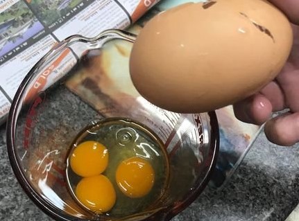 호주에서 화제가 된 노른자 3개 계란 