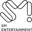 국세청, SM엔터테인먼트 특별 세무조사 - 1