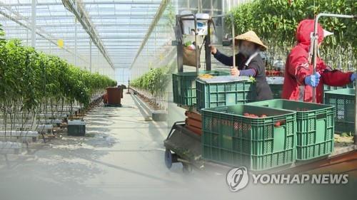 농어촌 외국인 근로자(CG)