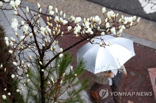 충북 5∼10㎜ 비