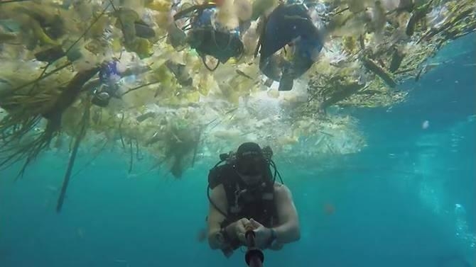 바다 표면을 뒤덮은 플라스틱 쓰레기