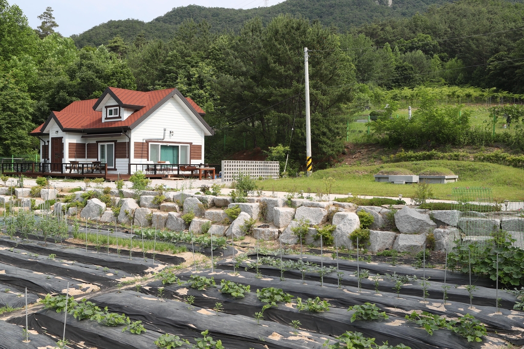농지법 위반 의혹 제기된 우상호 의원 포천 땅