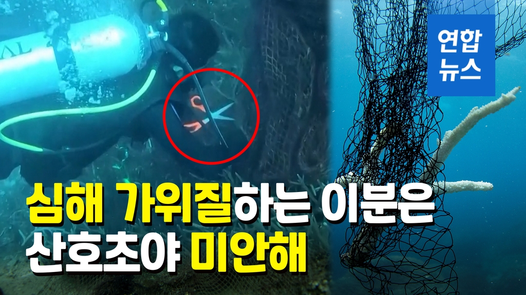[영상] 산호초 뒤덮은 800kg 어망 제거 작전…태국 해군 초계기도 동원 - 2