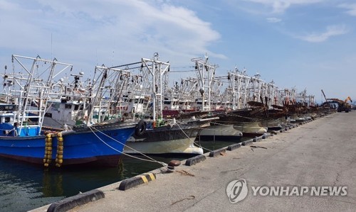 충남 서천 홍원항에 모여 있는 어선들