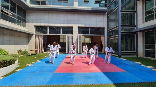 음악에 맞춰 태권 댄스를 선보이는 남아공 시범단
