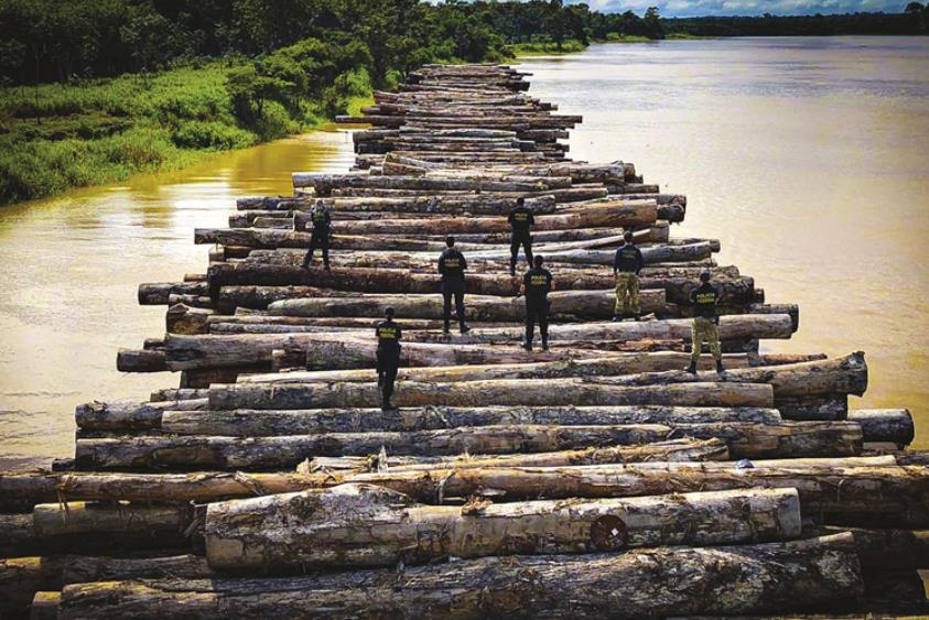 아마존 열대우림 무단벌채 극성