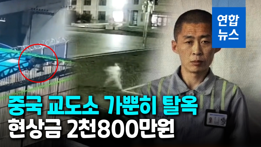 [영상] 전기철조망 쯤이야…2천800만원 걸린 中교도소 탈옥 북한인 - 2