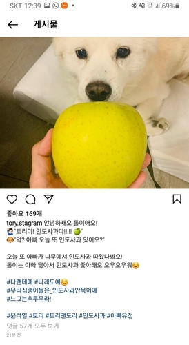 논란의 '사과'