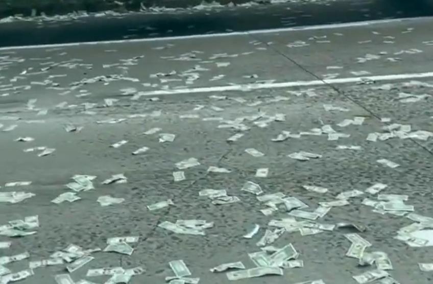 미국 캘리포니아주 고속도로에 뿌려진 지폐