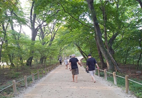 함양 상림공원, '걷기 좋은 명품 숲길 50선'에 선정