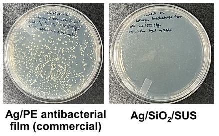 기존 은나노 필름(Ag/PE)과 은 나노코팅(Ag/SiO₂/SUS) 항균효과 비교