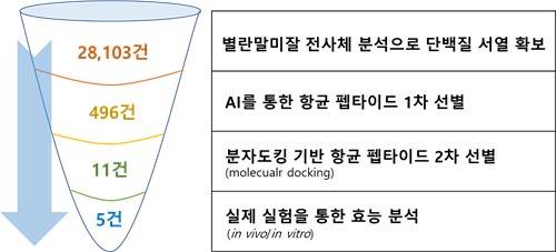 AI 활용해 제주 말미잘서 '슈퍼박테리아' 대응 물질 찾아내 - 2