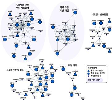 척추이분증 환자의 유전자 및 생물학적 기능 네트워크
