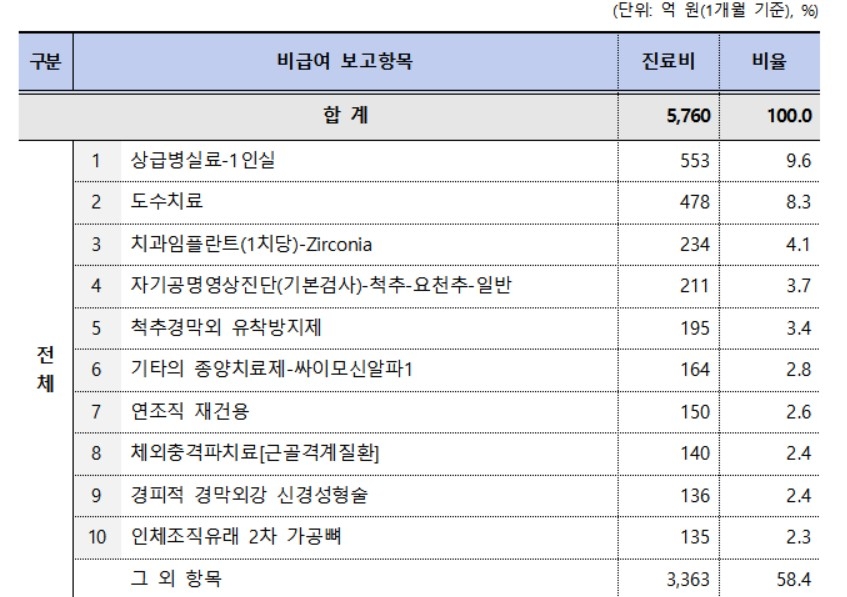 비급여 진료비 상위 10개 항목
