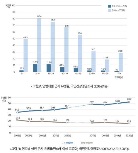 [대한안과학회 제공]