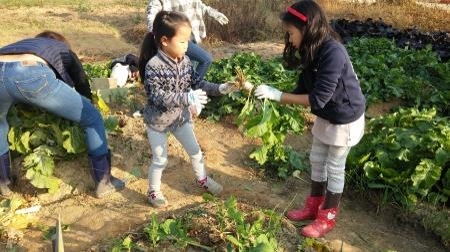 수원시농업기술센터, 어린이 농부학교 입학식 열어 - 1
