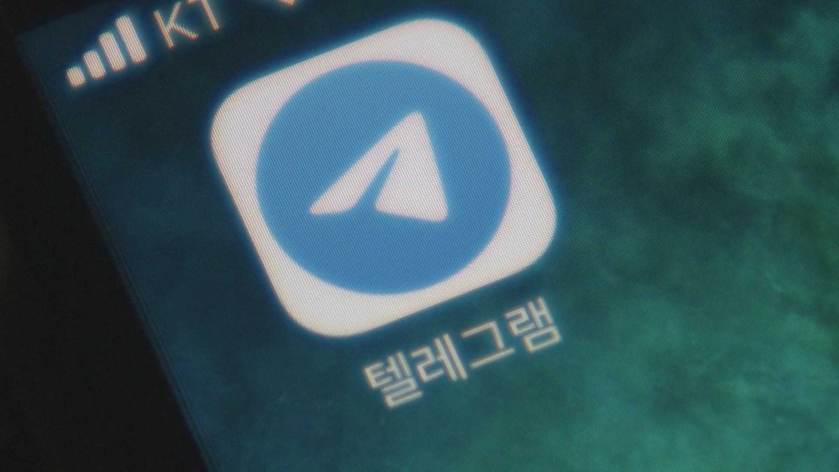 n번방 관련자 징역 1년에도 항소…솜방망이도 과하다?