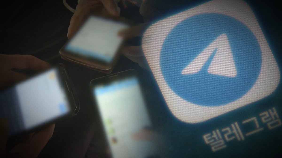 무법지대 텔레그램…"유사 n번방 모두 수사"