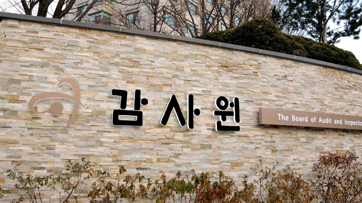 감사원, '옵티머스' 징계 관련 금감원 재심의 청구 모두 기각