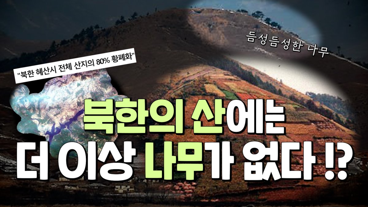남북한 산림 복원 프로젝트 '그린데탕트'