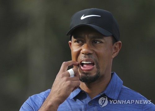 타이거 우즈