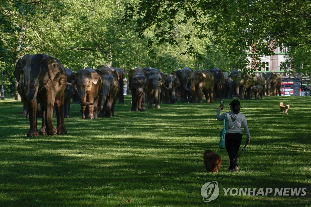 Britain Elephants Exhibition