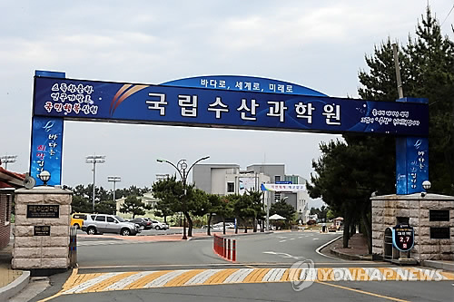 국립수산과학원 <연합뉴스 자료사진>