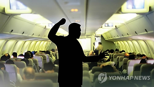 기내난동 (CG)