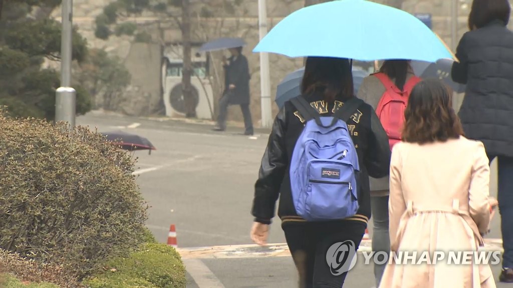 봄비 우산
