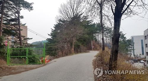 강릉원주대 관통 마을 안길