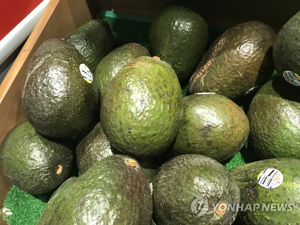 아보카도